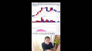 공포손절 금지! 추격매수도 금지! 지금은 얼음!! 현금이 최고야