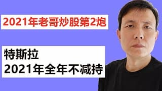 2021年老哥炒股第2炮，特斯拉 TSLA，2021年全年不减持