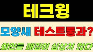 [테크윙 주가전망] 긴급속보!! 모양새? 테스트 통과? 외인들 매집이 심상치 않다?