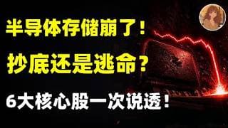 半导体存储大回撤，该抄底还是逃命？6只核心标的，策略一次性说透！MU,SNDK,NVDA,AVGO,TSM,IAMD #美股 #投资 #trading