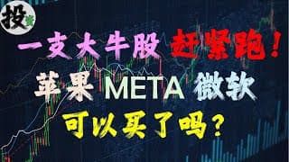 美股 | 投资 | 股票 | 一支大牛股NVDA股票我先跑路了，APPL股票，META股票，MSFT股票，能买了吗？苹果股票，微软股票