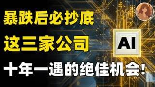 暴跌后必抄底的公司！十年一遇的绝佳机会：抄底这三家公司，爆赚机会就在此刻？AI第二波主升浪，这个方向将再次爆发！VRT,AVGO,MRVL,MSFT,NVDA#投資 #美股