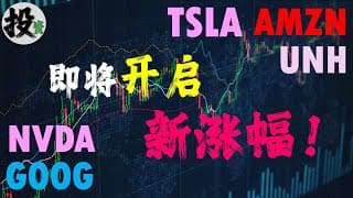 美股 | 投资 | 股票 | 是否即将开启新涨幅？账户持仓更新，特斯拉股票，英伟达股票，谷歌股票，AMZN股票，UNH股票，COST股票