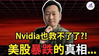 【警惕拐點】財報季大好，但AI股恐慌暴跌！這一切，背後的真相是什麼？Nvidia也救不了嗎？...【D的財富鏈/美股】