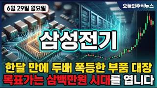 [삼성전기 주가 전망] 인공지능 서버가 부른 부품 초호황 없어서 못 판다 한달 만에 두배 폭등 목표가 300만원 시대 #삼성전기주가전망 #삼성전기목표가 #삼성전기