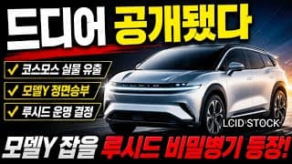 미친듯이 팔려야 되는 코스모스 미드사이즈 공개! 