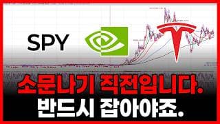 급등 나오고 후회하지 말고 상승 전 매수. (테슬라 엔비디아 아이온큐 SPY 애플 아마존닷컴 메타  로켓랩 루멘텀 홀딩스