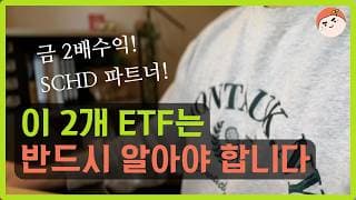 연금투자자가 반드시 담아야할 2개ETF | 금2배수익률, S&P500보다 뛰어난 수익률