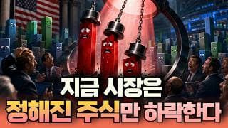 지금 시장은 정해진 주식만 하락한다