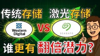 AI 数据存储之争| WDC vs STX ：谁更有机会成为十倍股？ Seagate vs Western Digital