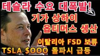 테슬라 수요 대폭발! / 기가 상하이 옵티머스 생산 / 이탈리아 FSD 보류 / TSLA $OOO 돌파시 급등 / 테슬라 투자