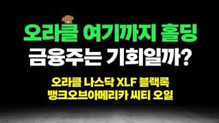 오라클 호실적 예상했던 이유, 사모신용 리스크에 금융주 담아도될까?