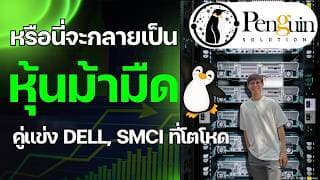 หุ้น PENG (Penguin solution) หรือนี่จะกลายเป็นหุ้นม้ามืด คู่แข่ง Dell, SMCI ที่โตโหด