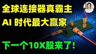 AI时代最隐秘卖铲人曝光！既不造芯片，也不做大模型，却靠连接器吃下AI最肥的一块肉，华尔街为何疯狂买单？APH,TEL#美股 #投資 #trading #连接器 #ai