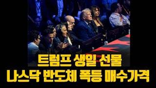 트럼프 생일선물 mou ufc 나스닥 반도체 매수가격 스페이스x 폭등