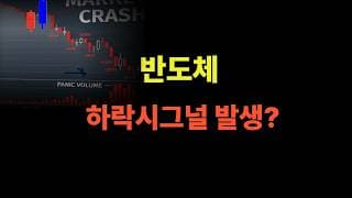 단기 조정 가능성 미국주식 투자전략 (테슬라,엔비디아,마소,메타,비트코인)