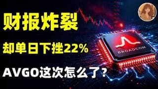 AVGO财报双超预期，股价却狂跌22%！所有人都懵了？真相根本不是业绩问题！博通这次到底是机会还是陷阱？AVGO.AAPL.NVDA.MU.MRVL.DELL.GOOG#ai #trading#美股