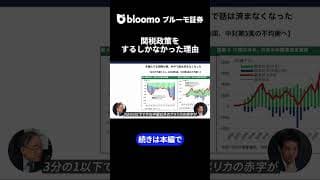関税政策をするしかなかった理由 #中村仁 #武者陵司 #米国 #AIバブル #トランプ政権