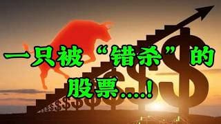 一只被“错杀”的股票....！