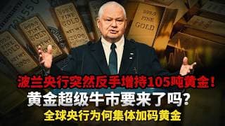 突发！波兰央行突然反手增持105吨黄金！超级牛市要来了吗？全球央行为何集体加码黄金？藏着一个让全球对冲基金集体爆仓的惊天陷阱！黄金#白银