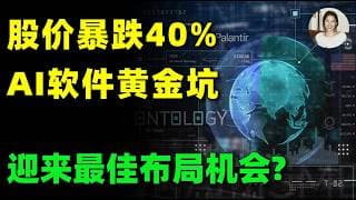 暴跌之后，Palantir还能买吗？高估值背后，是AI泡沫还是下一个微软？财报前，这个机会别看走眼！PLTR,MSFT,ORCL#美股 #投資 #trading #ai #软件