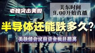 美股解析｜美联储会议前资金疯狂撤离！半导体还能跌多久？#美股 #英伟达 #甲骨文 #英特尔 #特斯拉 #soun #苹果 #投資  #crcl  #amd