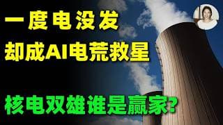 这两家连一度电都还没发过的核电公司，凭什么让美日财团和硅谷巨头抢着站台？短期震荡砸出黄金坑，却藏着下一个10X机会？SMR,OKLO#美股 #投資 #trading #核电