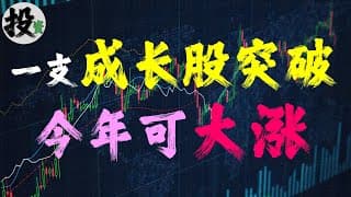 美股 | 投资 | 股票 | 账户持仓更新，几只股票复盘；一支快速成长股今日突破，今年有可能大涨，TSLA股票，苹果股票，AVGO股票