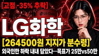 [LG화학 주가 전망] LG화학 264500원 신저가 지지가 분수령, 바닥 잡았나? #LG화학
