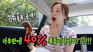 테슬라만 장투하다가 단타 쳤는데 하루만에 40%...
