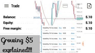 How to grow $5 (PART2)
