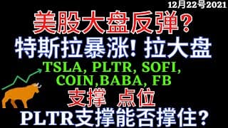 美股大盘反弹? 特斯拉暴涨! 拉大盘 TSLA, PLTR, SOFI, COIN,BABA, FB 支撑  点位 PLTR支撑能否撑住?