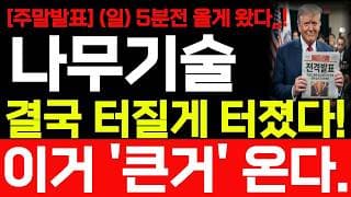 [나무기술 주가전망] 주말발표 이거 큰거 온다! 나무기술 주가 어디까지 상승할까요? 바로시청! #나무기술 #나무기술주가 #나무기술주가전망