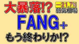 大暴落⁉︎FANG+は終わりなのか⁉ 21％下落で弱気相場入り