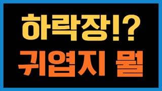 주식 투자는 상승장일 때 더 어렵다니까요