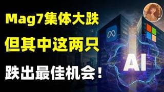 2026 年最被错杀的两家巨头，真的被市场彻底抛弃了？现在还能布局了吗？MSFT,META.AMZN.NVDA.TSLA.IBM.MRVL.NOK.GOOG#ai #美股 #trading #熱門 #