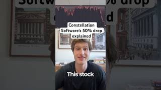 This software stock fell -50%!? #stocks #investing #stockmarket