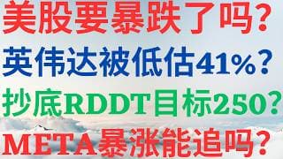 美股1197|美股要暴跌了吗?英伟达被低估41%?抄底RDDT目标250? META暴涨能追吗? #nvda #rddt #meta #美股 #美股分析 #drmikeinvest