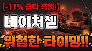 [네이처셀 주가 전망] 조심해야할 타이밍! #네이처셀 #네이처셀주가 #네이처셀주가전망