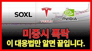 미증시 폭락 이 대응법만 알면 끝입니다. SOXL 테슬라 엔비디아 아이온큐 애플 팔란티어 마이크로소프트 넷플릭스