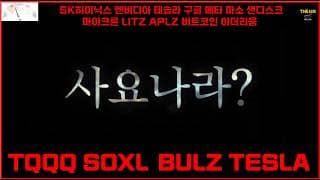 사요나라 TQQQ SOXL  BULZ TESLA SK하이닉스 엔비디아 테슬라 구글 메타 마소 샌디스크 마이크론 LITZ APLZ 비트코인 이더리움