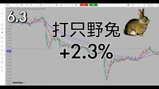 快进快出，前几天说冲几下要注意回踩，今天回踩来了，打只野兔