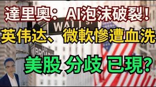達里奧惊悚預言：AI泡沫破裂！英伟达、微軟慘遭血洗，美股崩盤前兆已現？ #特斯拉 #美股 #美股交流群
