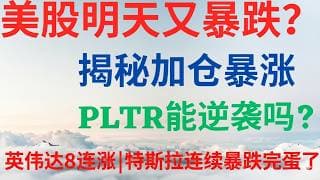 美股1151|美股明天又要暴跌?揭秘加仓季暴涨!PLTR还能逆袭吗?英伟达为何可以出现八连涨?特斯拉连续暴跌完蛋了? #pltr #tsla #nvda #amzn #rklb #美股分析