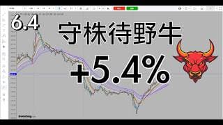这2天回调都是前10天就已预告了，今天守着打了英伟达大野牛，其他会员也有做其他的，明天继续打野牛