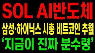 [SOL AI반도체 주가전망] 삼성·하이닉스 시총 비트코인 추월!? "지금이 진짜 분수령이다"
