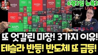미국주식시황/반도체 장비 하드웨어 급등! 테슬라 엔비디아 구글 애플 아마존 메타 아이온큐 삼성전자SK하이닉스 마이크론 테크놀로지 브로드컴 인텔 AMD 샌디스크 델 루멘텀 팔로알토
