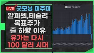 [굿모닝 미주미]  알파벳, 테슬라에 대한  월가의 냉철한 판단, 목표주가 줄 하향     #미주미 #이항영
