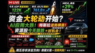 26/6/3美股盘中分析 ：资金正在离开AI应用？特斯拉横盘蓄势铜、稀土回调或是上车机会！