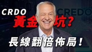 [CRDO黃金坑] 相比英偉達，這家「AI賣鏟人」憑什麼被微軟、Meta、亞馬遜瘋搶？9月財報前夕的右側佈局戰術！